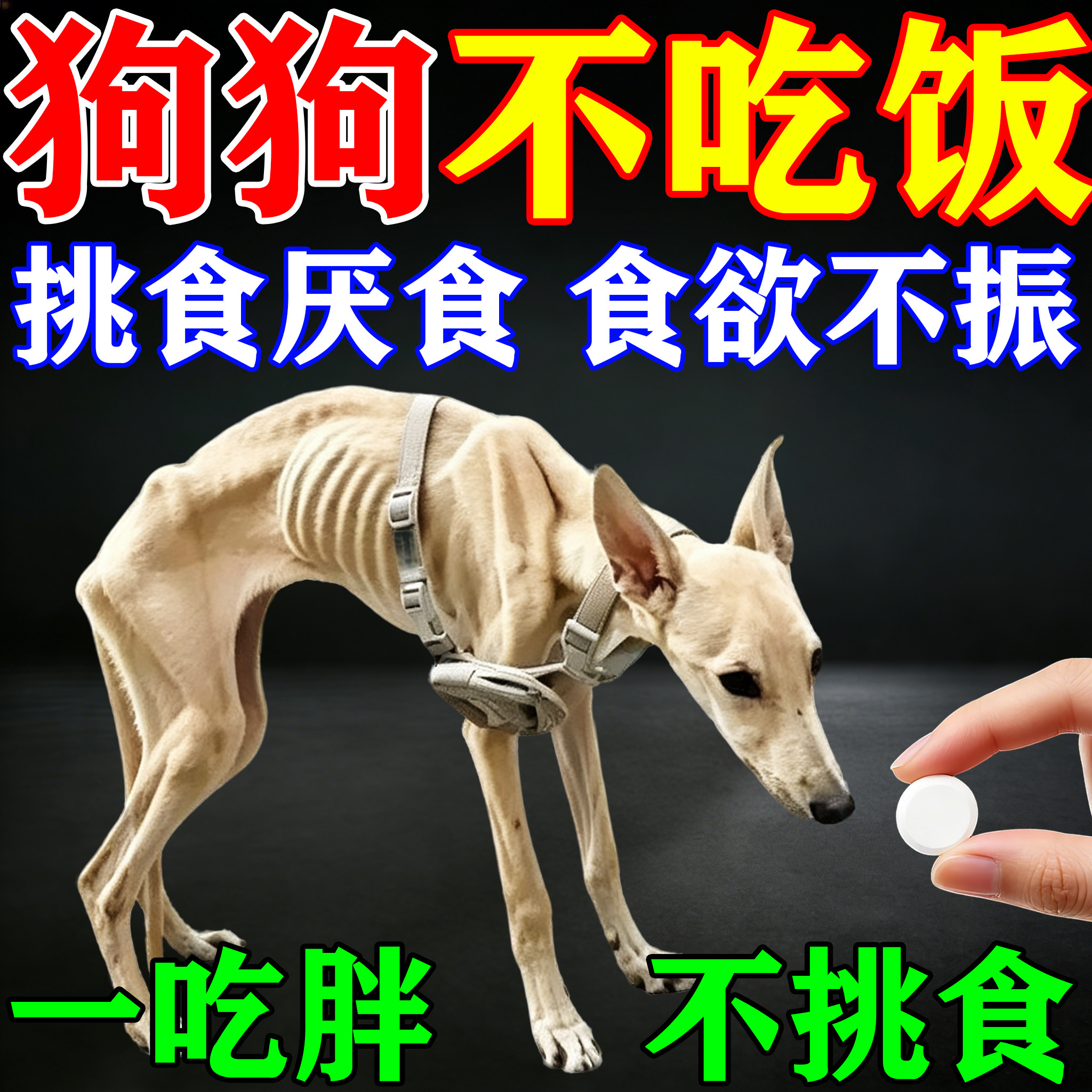 宠物营养补充剂】狗狗食欲不振