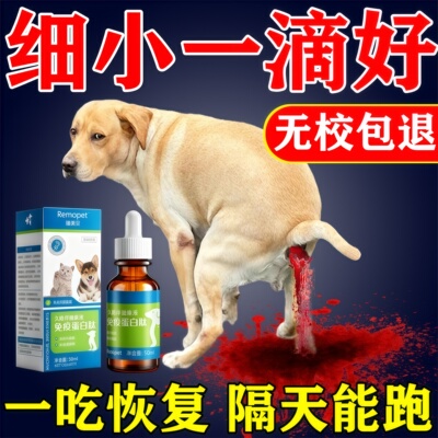 当天见效】治狗狗细小病毒犬瘟药