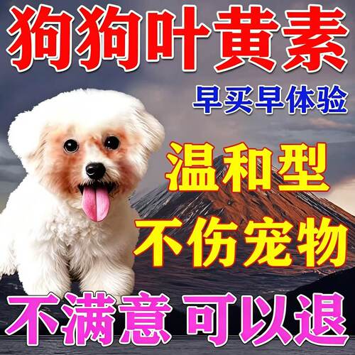 【狗狗叶黄素】专用滴yan液