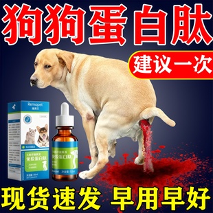 狗狗细小毒专用犬瘟热肠胃炎拉稀呕吐便血食欲不振犬瘟单抗干扰素