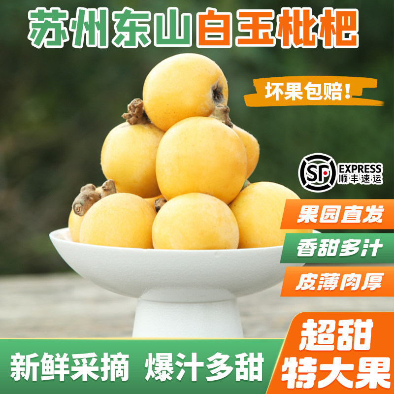 特大果苏州东山白玉枇杷果超甜新鲜应季水果孕妇5斤礼盒顺丰枇杷