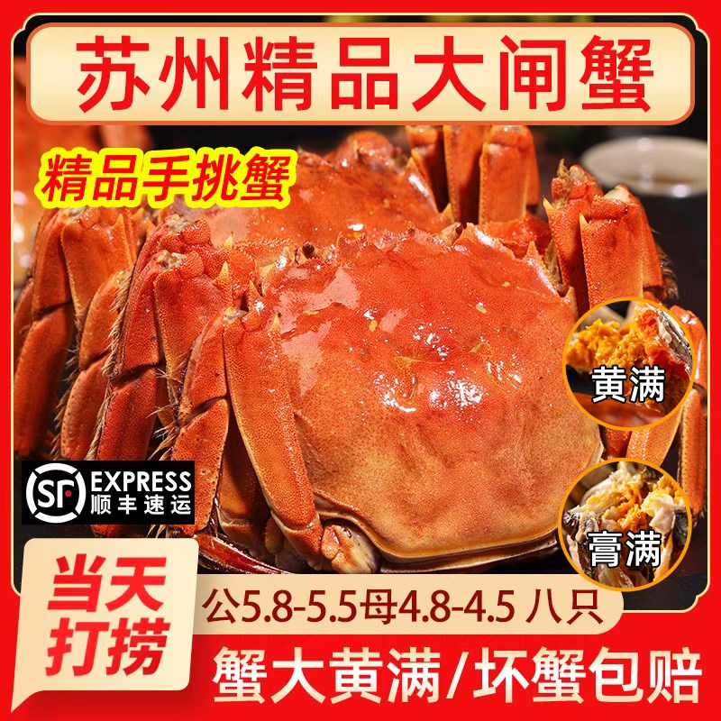 活蟹特大阳澄大闸蟹苏州鲜活满黄螃蟹公6.5两母5.5两八只礼盒装