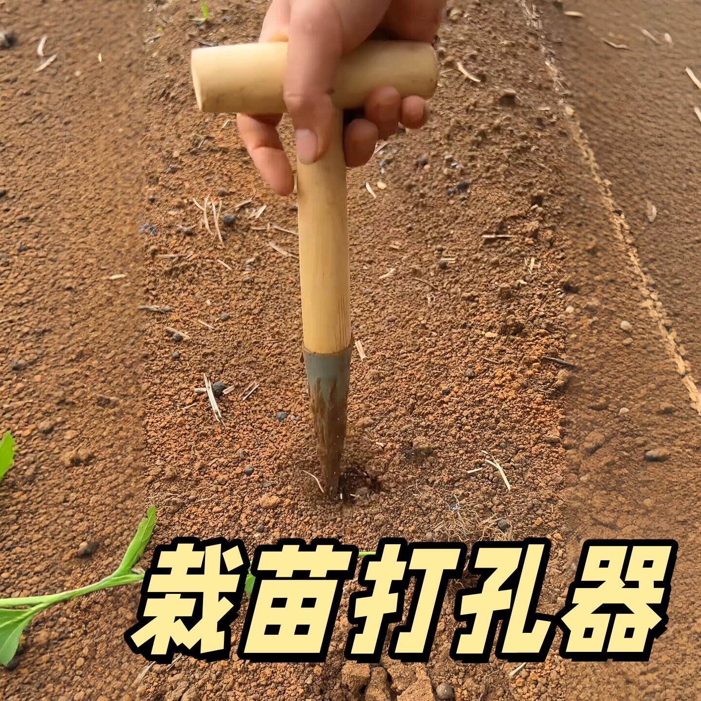 泥土打洞器小型移苗打孔