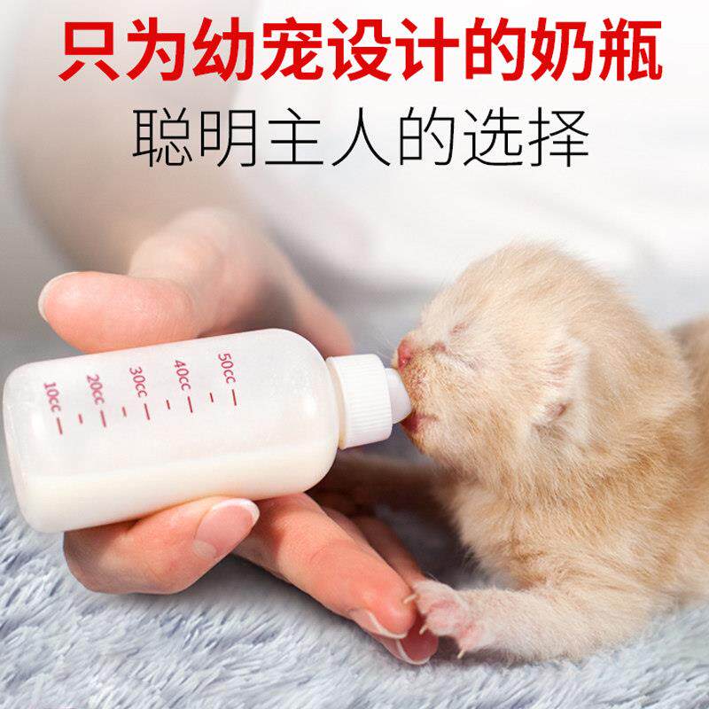 猫奶瓶幼猫小新生宠物幼
