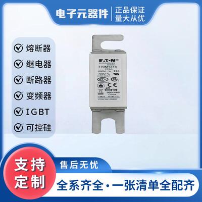 170M1318170M1319快速熔断器电子元器件库存充足高压保险丝