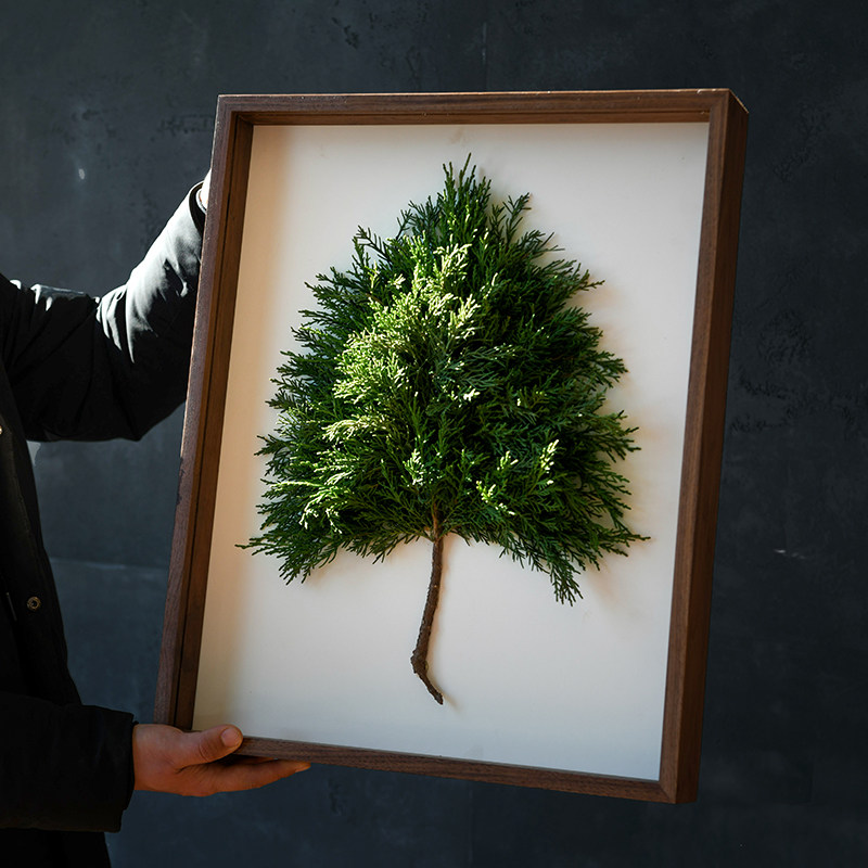 实木立体中空标本框贝壳干花奖状展示画框diy手工定制A4创意装裱