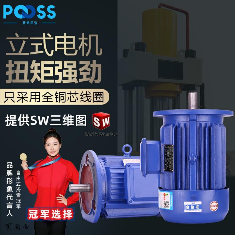 普斯YE3立式三相异步电机国标铜芯电动机380V减速机B5泥浆泵马达