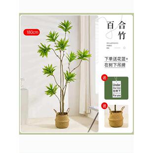 仿真绿植百合竹北欧侘寂风格 饰假植物 室内客厅落地盆栽摆件橱窗装