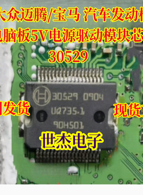 30529 适用大众迈腾/宝马 5V电源驱动模块汽车IC芯片 全新BOSCH