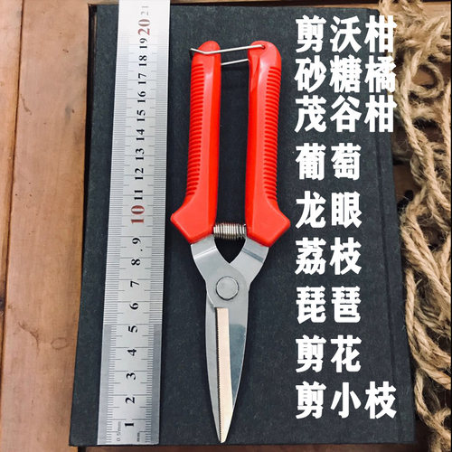 超级省力专业剪沃柑柑橘剪果树剪果神器摘果剪刀剪子剪枝修枝