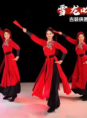 古典舞雪龙吟演出服中国风打鼓服功夫扇太极剑表演服古装侠客风汉