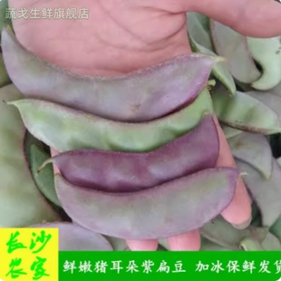 4斤农家紫扁豆角新鲜红蛾眉豆鹅眉豆月儿菜猪耳朵峨眉豆