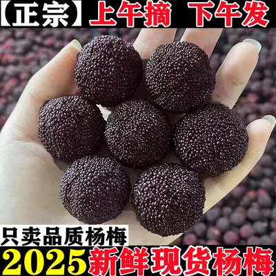 【现货】杨梅新鲜水果2025云南当季整箱5斤现摘现发荸荠杨梅鲜果