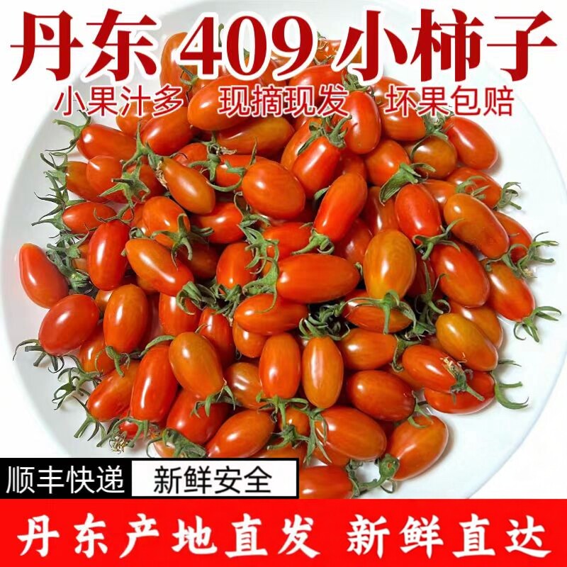 顺丰包邮东北409花生小柿子新鲜小番茄孕妇小圣女果非千禧圣女果