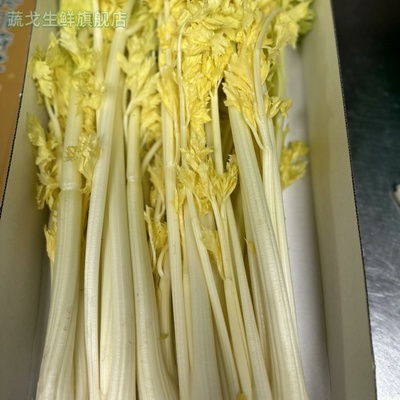 奶油芹菜马家沟桂河青岛特产