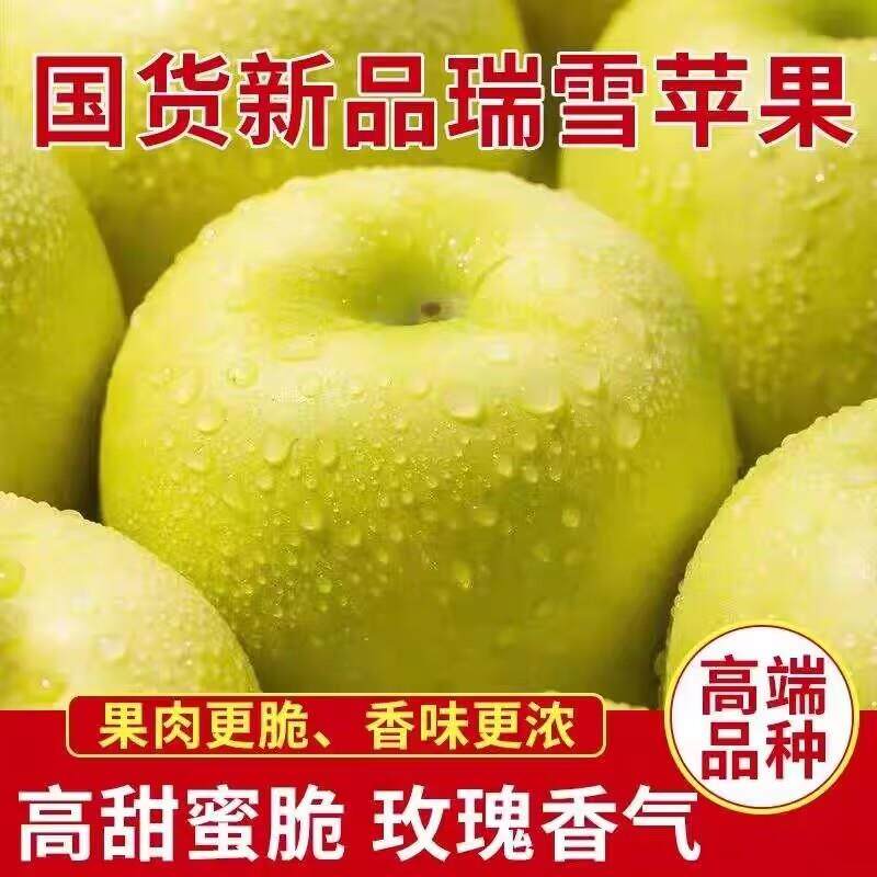 现货当季正宗瑞雪苹果5斤陕西渭南瑞阳新鲜水果礼盒纯甜青苹果9W