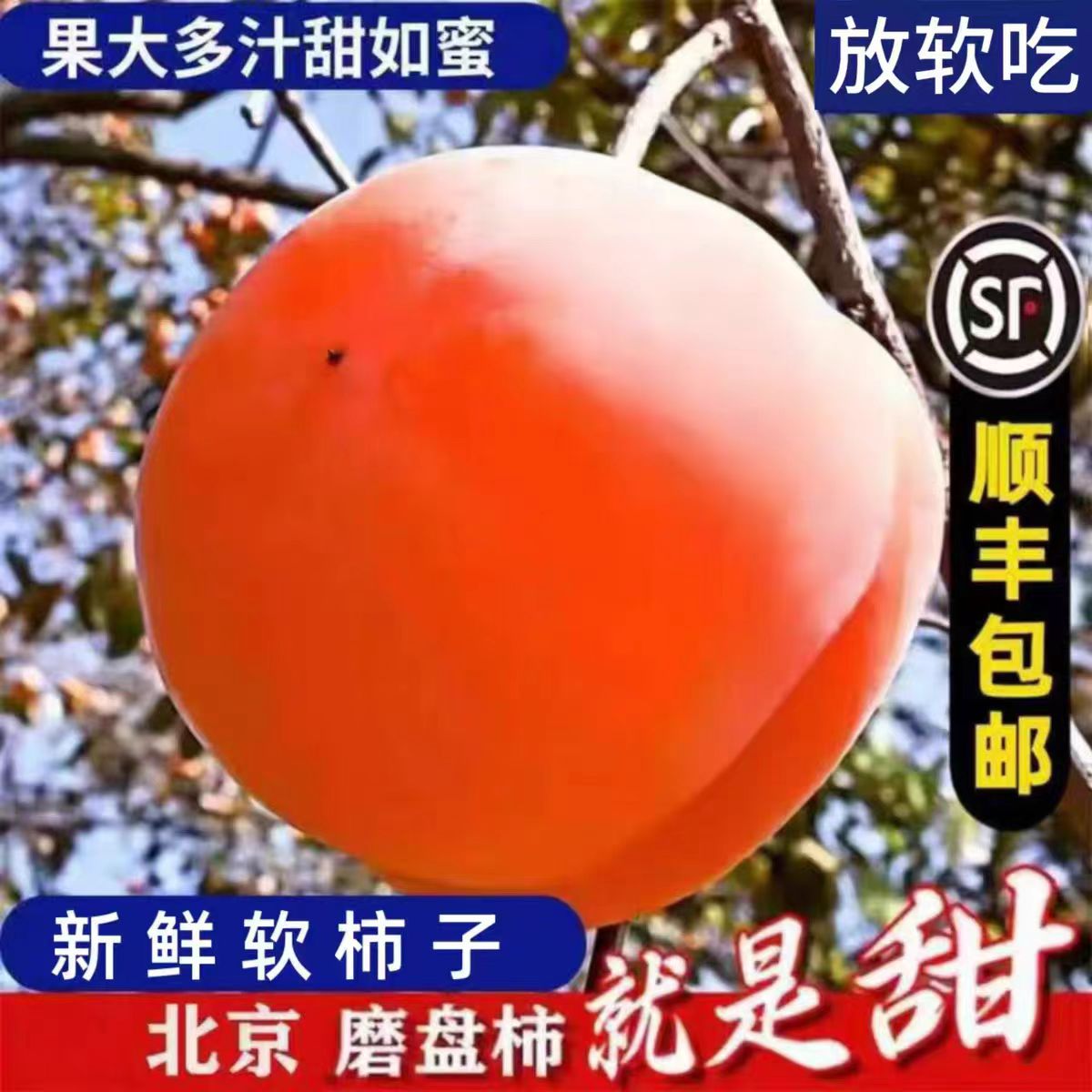 宗正磨盘大柿子应季水果当季盆柿大果整箱新鲜非房山柿子现摘现发