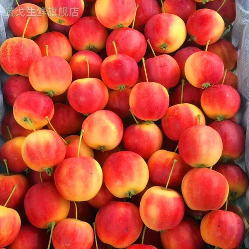 东北沙果新鲜小苹果当季整箱海棠果水果鸡心果孕妇酸甜龙丰果,水产肉类/新鲜蔬果/熟食,苹果,淘宝优惠券,粉丝福利购,淘宝优惠卷