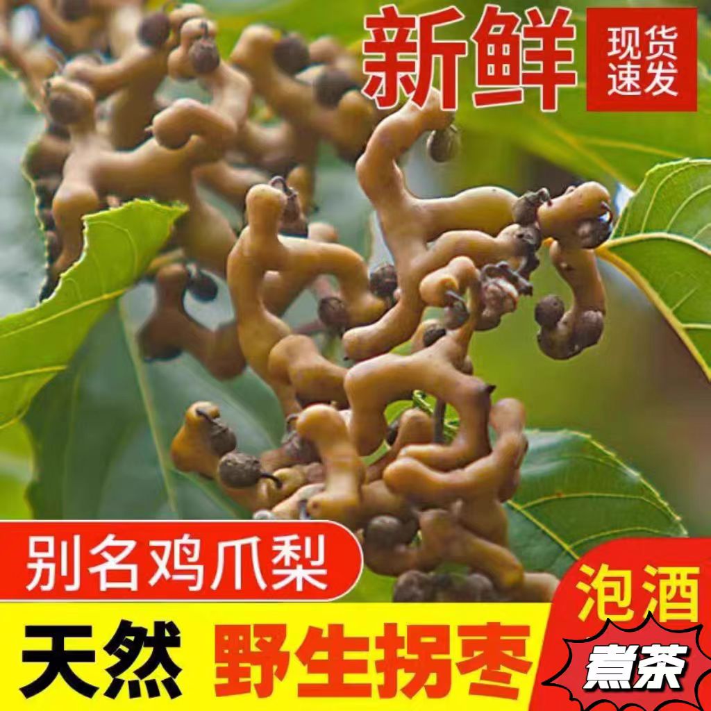 2025正宗新鲜现摘拐枣枝万寿果泡酒去枝枳椇子鸡爪梨当季生鲜水果