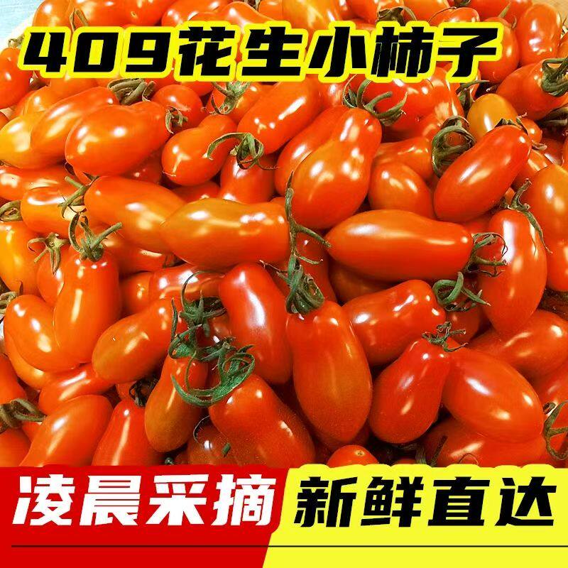 丹东409小柿子新鲜水果铁皮花生小番茄孕妇可吃应季水果顺丰包邮