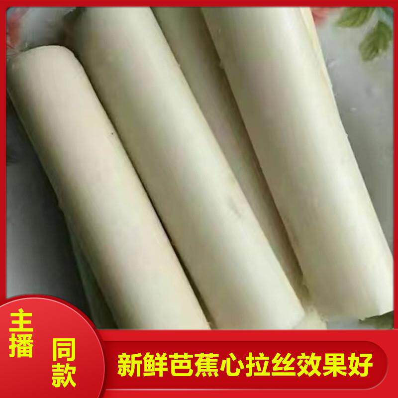 天然野生芭蕉杆拉丝芭蕉心香蕉杆茎心新鲜现摘现发蕉茎干心包邮2