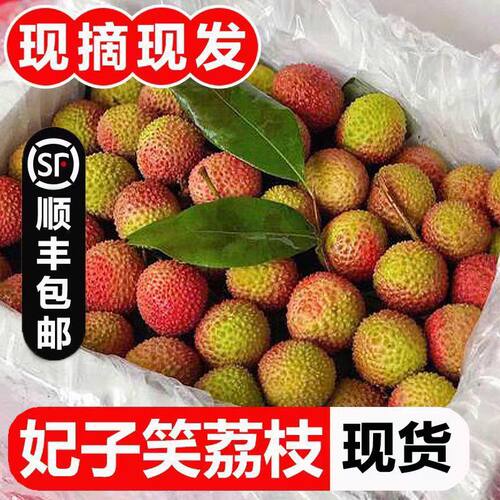 海南妃子笑荔枝当季新鲜水果现摘桂花味白糖香罂应季大果顺丰