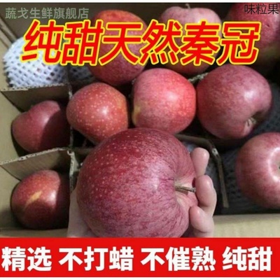 秦冠苹果10斤 陕西礼泉秦观苹果新鲜当季时令现摘冰糖心水果整箱5