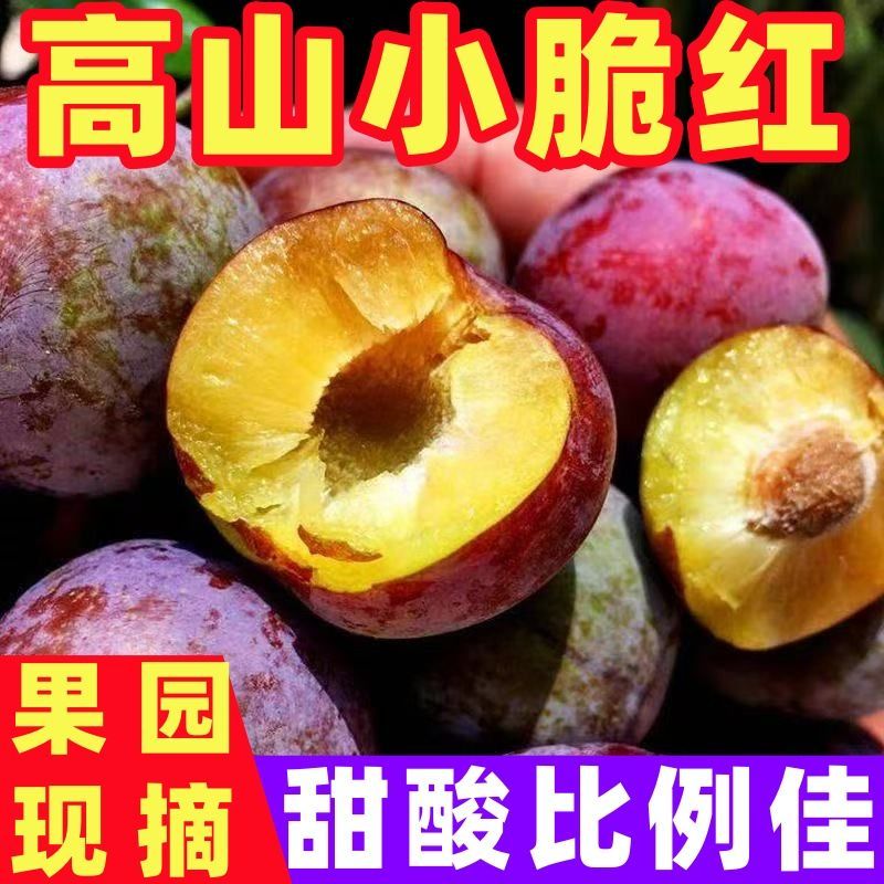 正宗四川脱骨李子新鲜水果脆红李蜂糖李茵红李青脆李土李空心李子