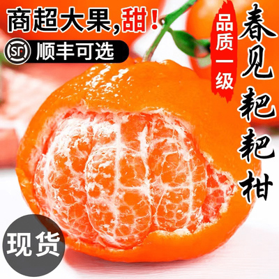 正宗四川春见耙耙柑手剥橘子粑粑杷杷柑当季整箱新鲜水果斤特级10