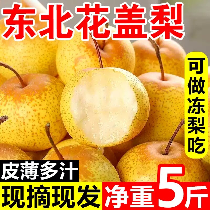 东北花盖梨新货正宗花盖梨鞍山特产软梨酸梨可做冻梨带箱5斤包邮