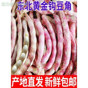 黄金勾豆角速冻东北黄金豆翻白眼红金钩勾油豆角农家蔬菜鼓豆