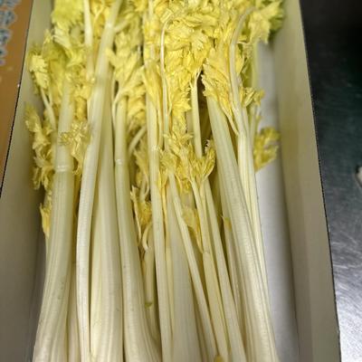 奶油芹菜马家沟桂河青岛特产