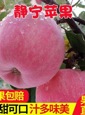 静宁红富士苹果水果新鲜脆甜整箱应季甘肃平凉冰糖心丑苹果现摘