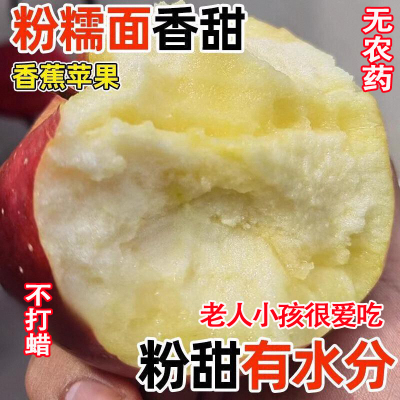 陕西秦冠粉面沙甜苹果9斤新鲜当季水果孕妇老人婴儿辅食刮果泥吃