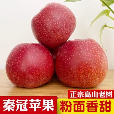 陕西秦冠苹果新鲜红香蕉苹果粉面苹果宝宝老人刮泥红玫瑰10斤