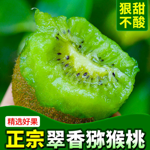 rte其他ho/1℃58-翠香陆大中国