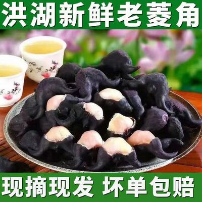2025黑菱角现摘湖北菱角菱角菱角即食嫩甜糯老应季新鲜野生现发大