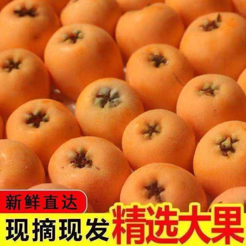枇杷鲜果批把新鲜当季水果琵琶
