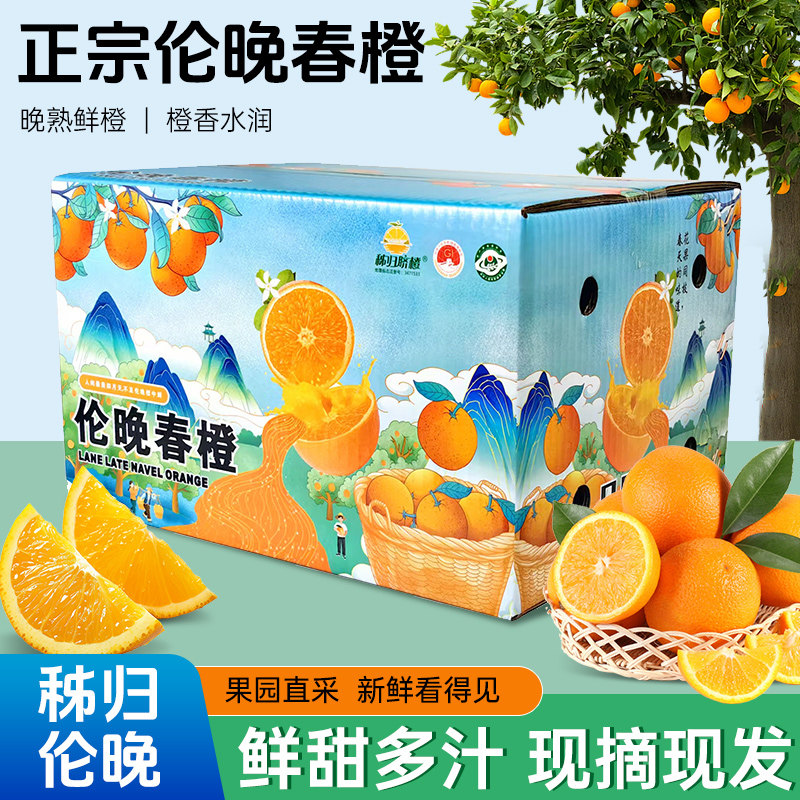 橙子伦晚春橙秭归脐橙甜橙夏季鲜橙应季新鲜水果产地果园现摘直发