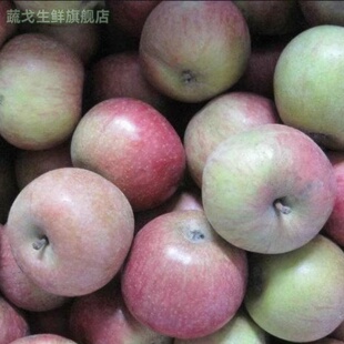 东北国光苹果笨果5斤装包邮 辽宁特产新鲜水果非烟台小红富士包邮