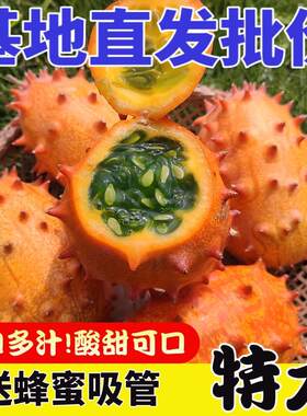 火参果新鲜8个大果灭霸同款火星果海参果火生果刺角瓜孕妇水果