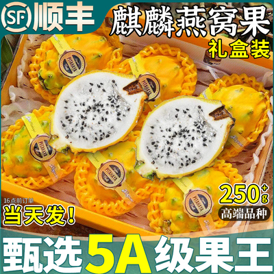 顺丰礼盒 海南燕窝果新鲜5斤麒麟果白心火龙果孕妇水果整箱包邮