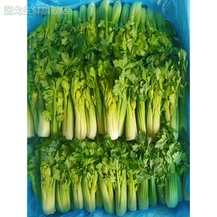 新鲜蔬菜云南高原生吃水果青芹芽西芹嫩芽餐饮特色食材500g