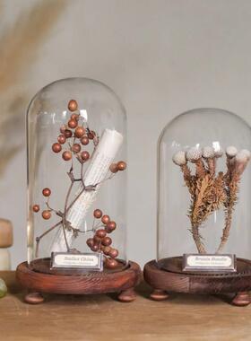 样板间轻奢植物标本装饰品玻璃罩摆件书房精油花艺中草药覆古简约