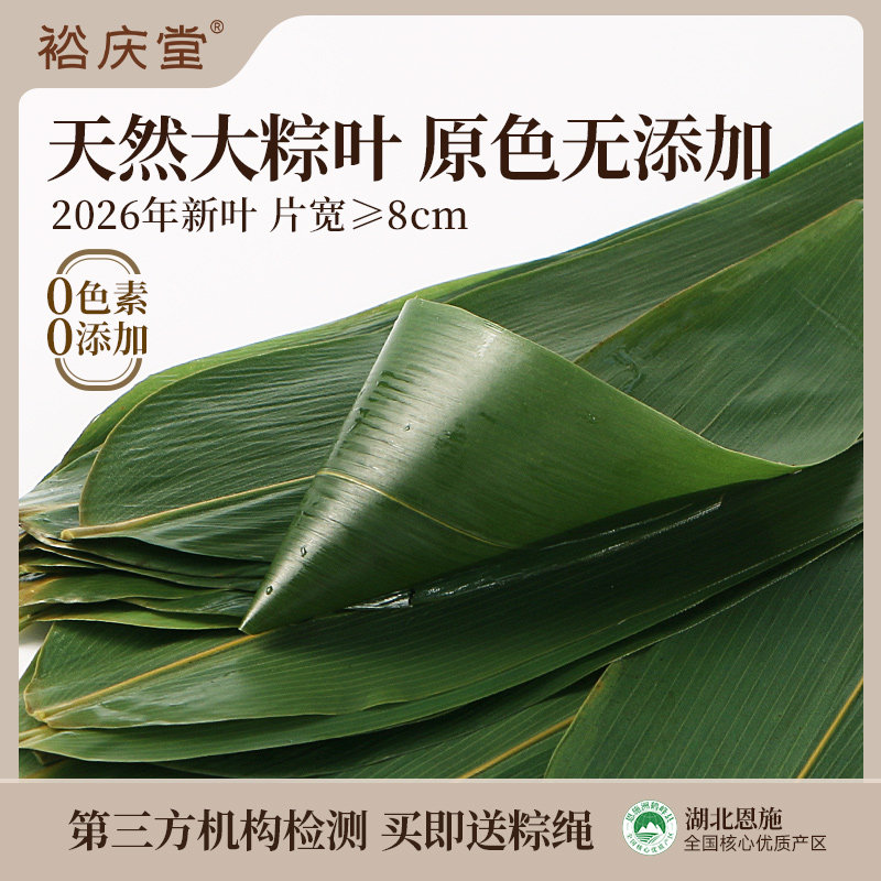 裕庆堂粽叶新鲜粽子叶大号端午节