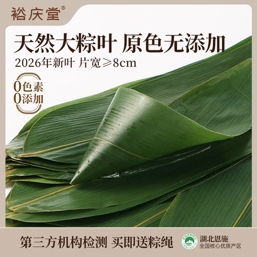 裕庆堂粽叶新鲜粽子叶大号端午节