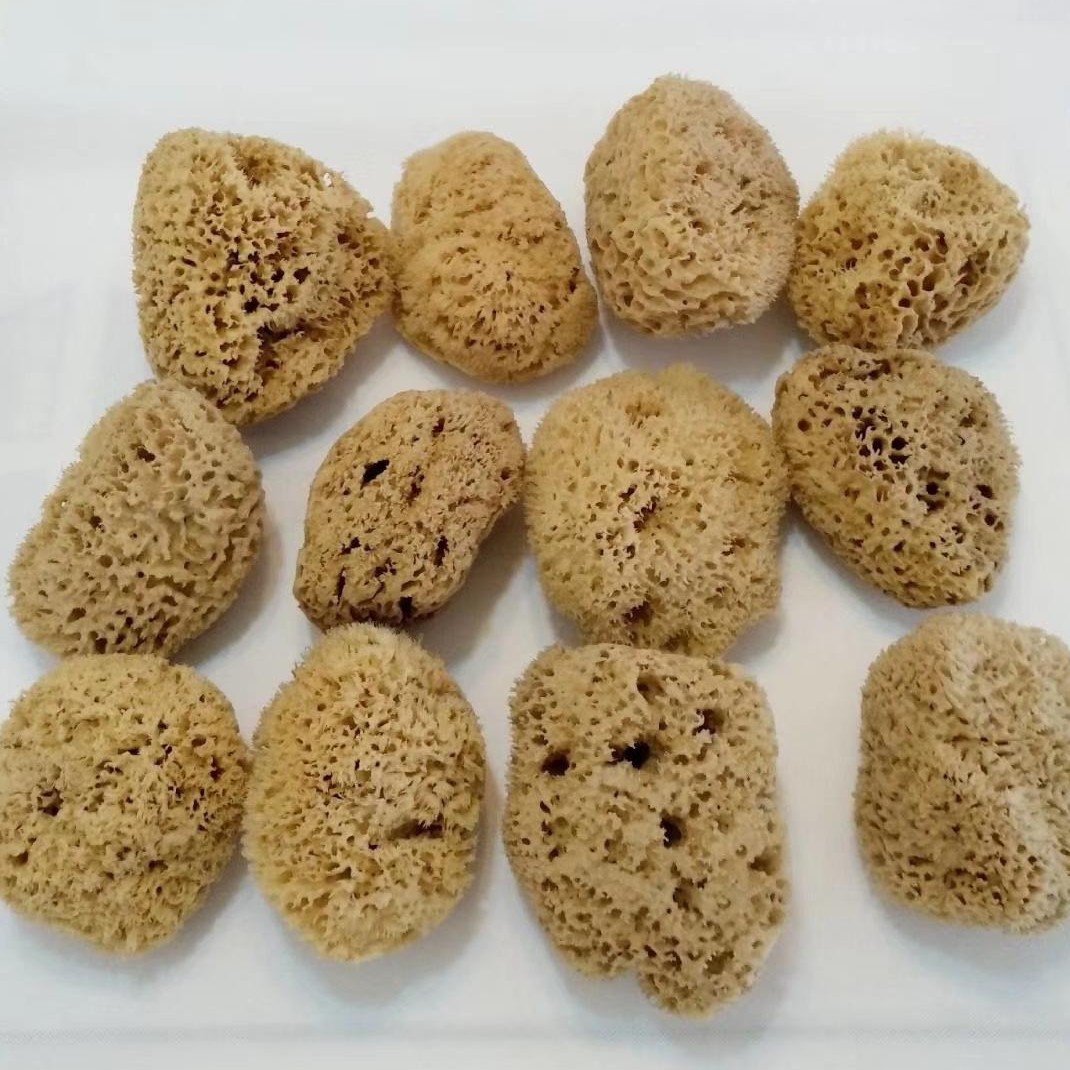 超丑丑海绵甩卖希腊天然沐浴球蜂窝洗绵海藻泥膜洗脸洗澡
