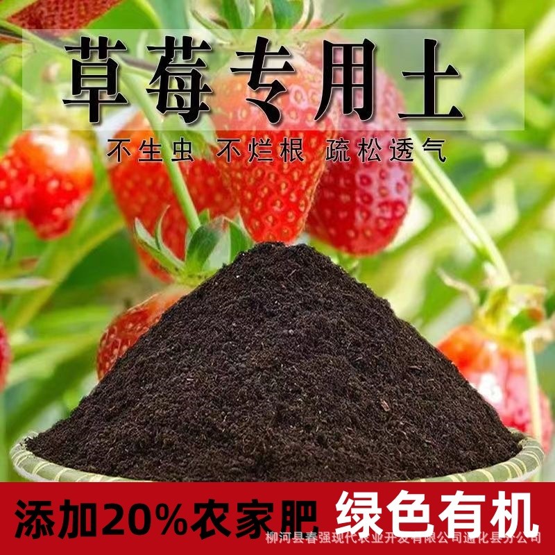 草莓营养士种植土壤种草莓的土通用型家用室内阳台盆栽种植瓜果土