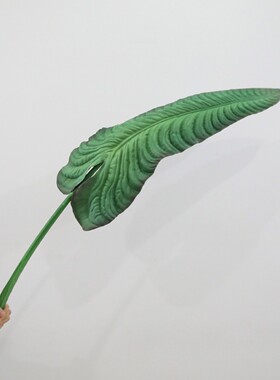 外贸仿真树叶 大号pu喜利叶室内绿植绿植景观景观叶片批发