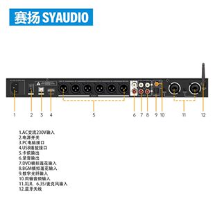 x5s专业数字效果器防啸叫抗干扰处理混响效果均衡dsp调节家用